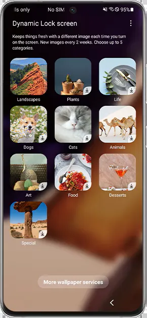 #1 - صور من البرنامج